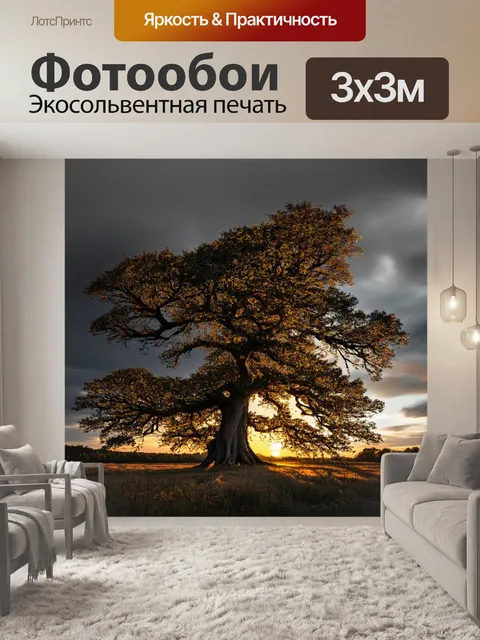 Фотообои природа в стиле эдвард мунк, старые деревья на фоне серого закатного неба, придающие пейзажу мрачный магнетизм
