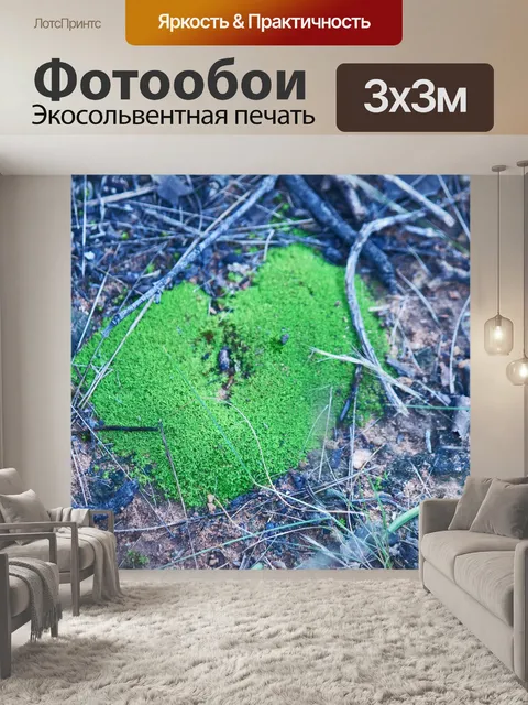 Фотообои мелкозернистый зеленый моховый рост