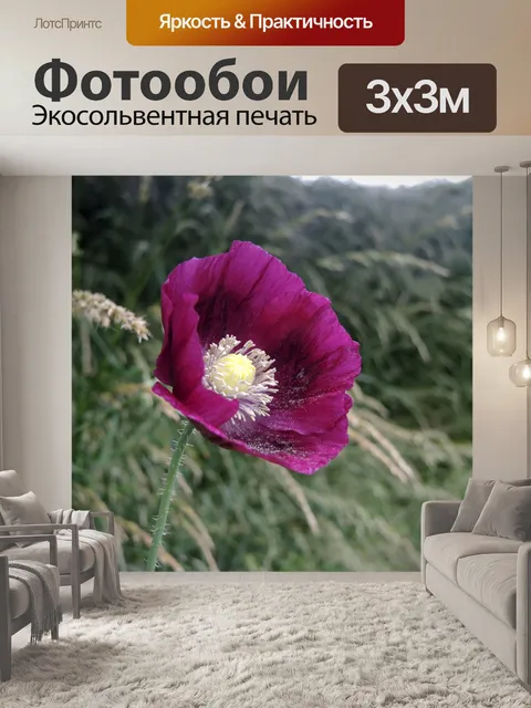 Фотообои Полевой цветок