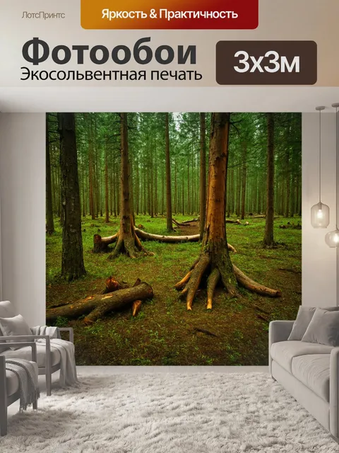 Фотообои контролируемый лес с высокими новыми деревьями и множеством пней