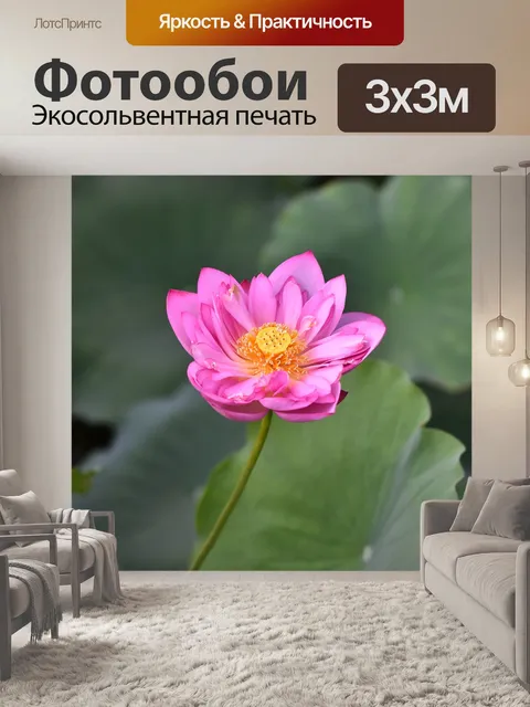 Фотообои Цветы