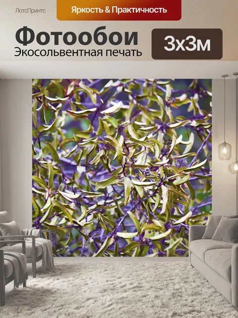 Фотообои Зеленый и фиолетовый Зимний листва