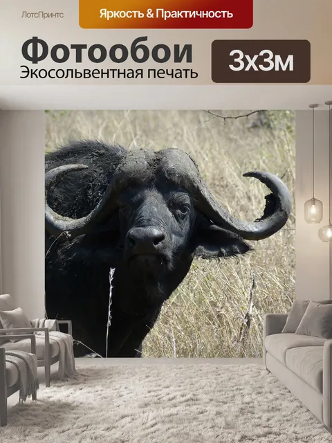 Фотообои Южная африка