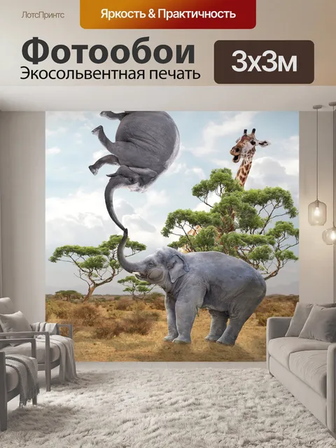 Фотообои Слон