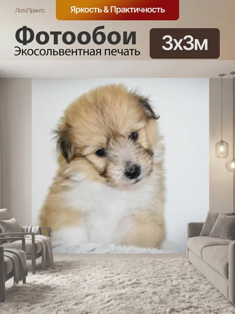 Фотообои Собака