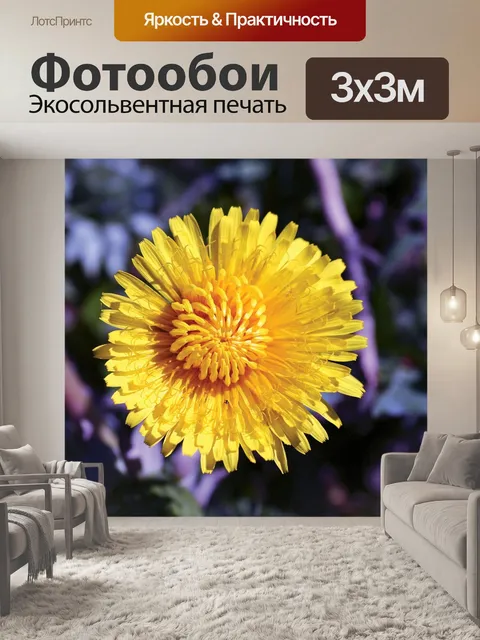 Фотообои Одуванчик