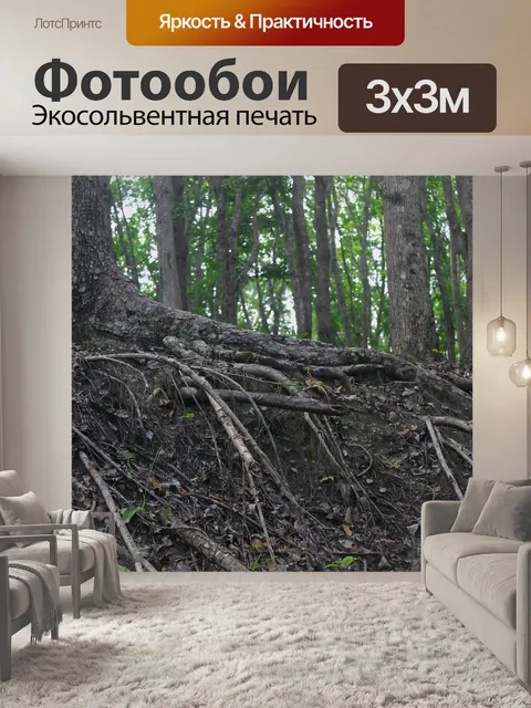 Фотообои Эрозия