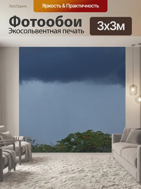 Фотообои вершина дерева сиринги и грозовое небо