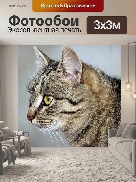 Фотообои Кошка