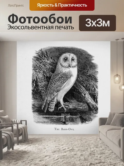 Фотообои Сипуха старинные иллюстрации