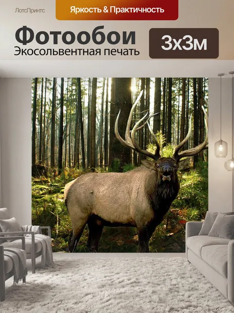 Фотообои Пейзаж