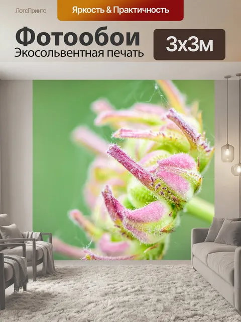 Фотообои Цветы