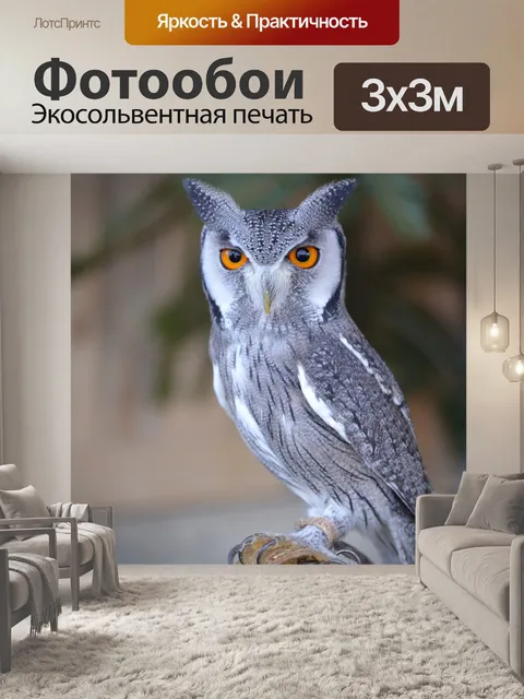 Фотообои Карлик ооо