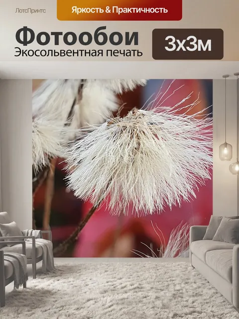 Фотообои Одуванчики