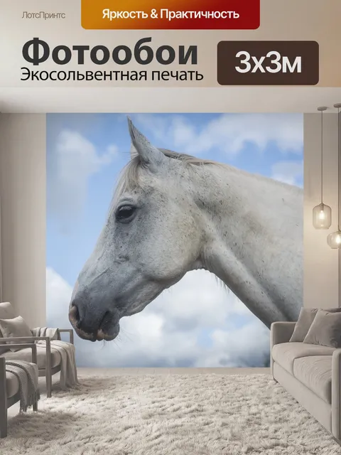 Фотообои Лошадь