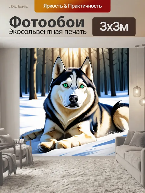 Фотообои хаски, лежащий на снегу, с изумрудно-зелеными глазами, придающими ему загадочный вид