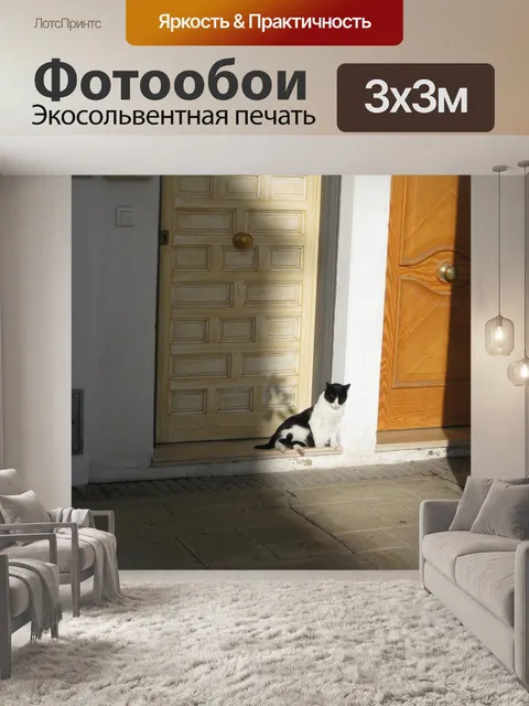 Фотообои Кот