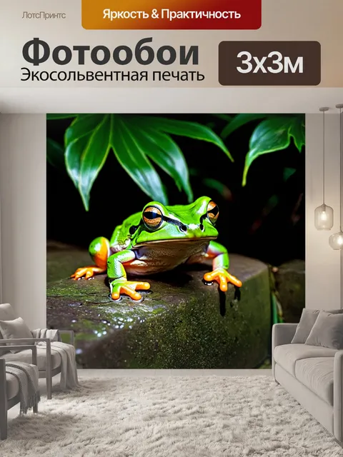 Фотообои в тропическом лесу, на увлажненном камне, лягушка с ярко-зеленой кожей закрывает глаза, наслаждаясь прохладой