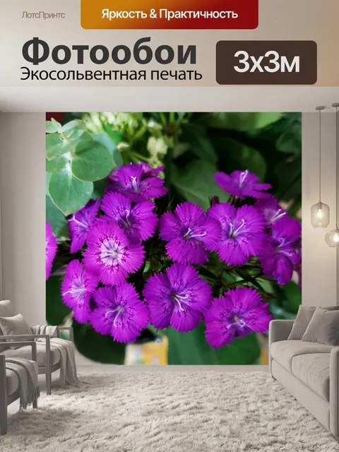 Фотообои Цветок пионов