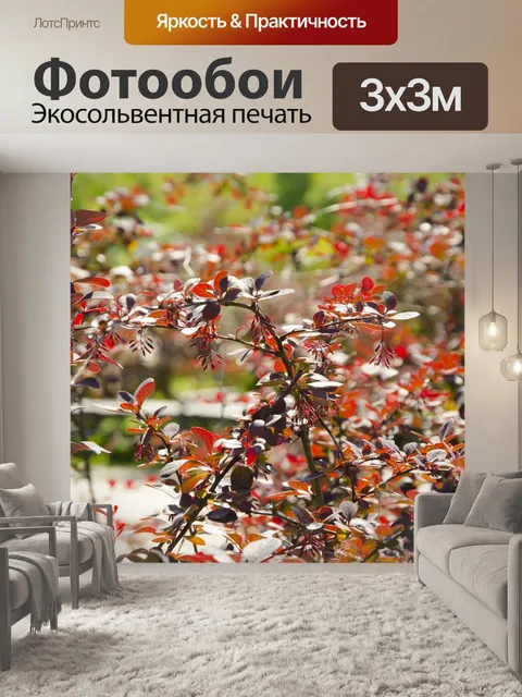 Фотообои Nature