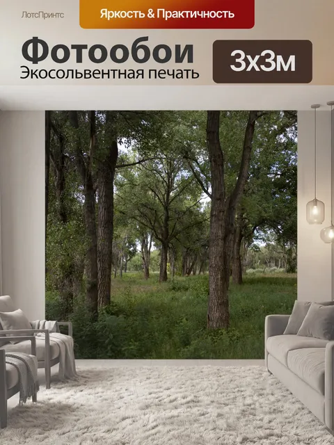Фотообои Лес тощих деревьев