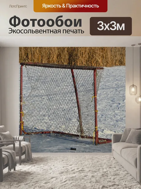 Фотообои Хоккейная сетка