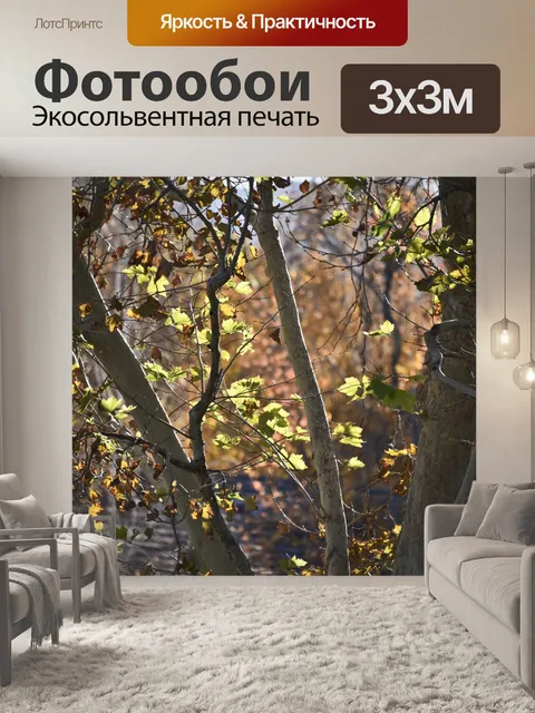 Фотообои Калифорния Осенние листья