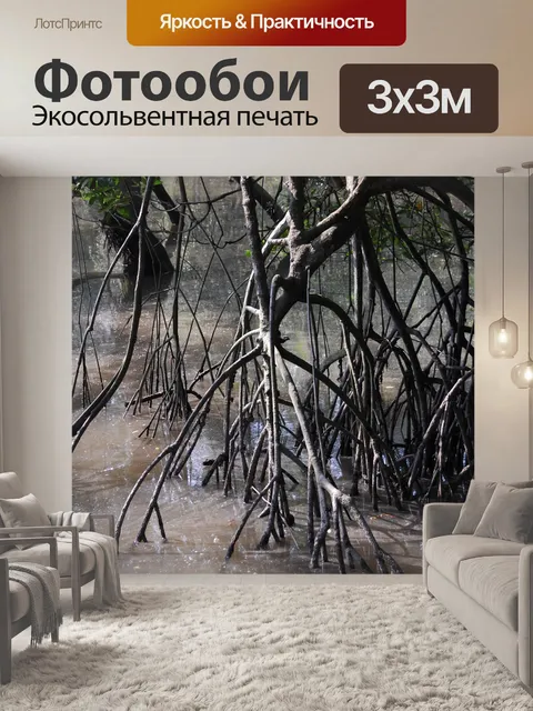 Фотообои Мангровые заросли