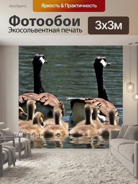 Фотообои Гуси