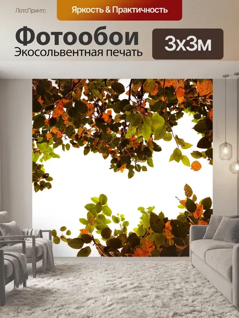 Фотообои Осенний лист