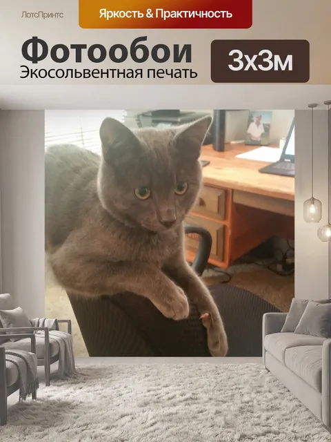 Фотообои России Синий