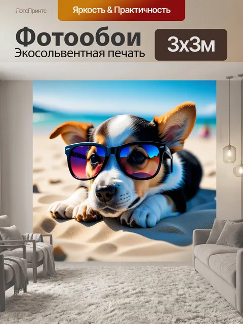 Фотообои милая собачка в солнцезащитных очках, лежащая на пляже