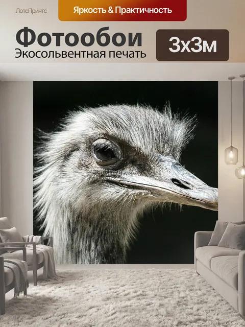 Фотообои Штраус