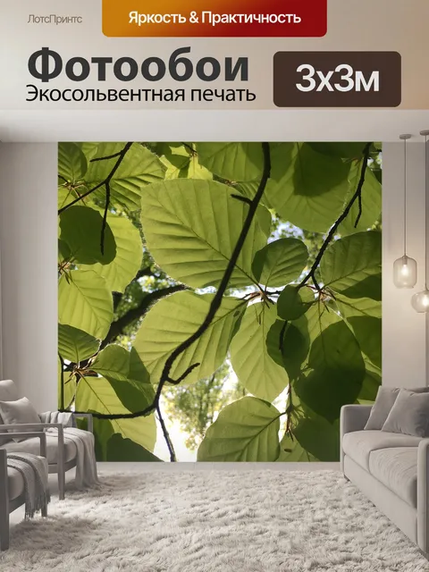 Фотообои Пляж