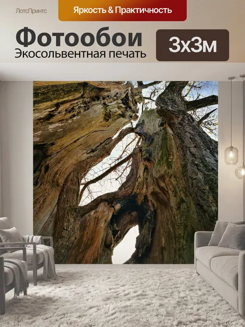 Фотообои Гуйчжоу 锦屏县 деревня wendou провинции мяо