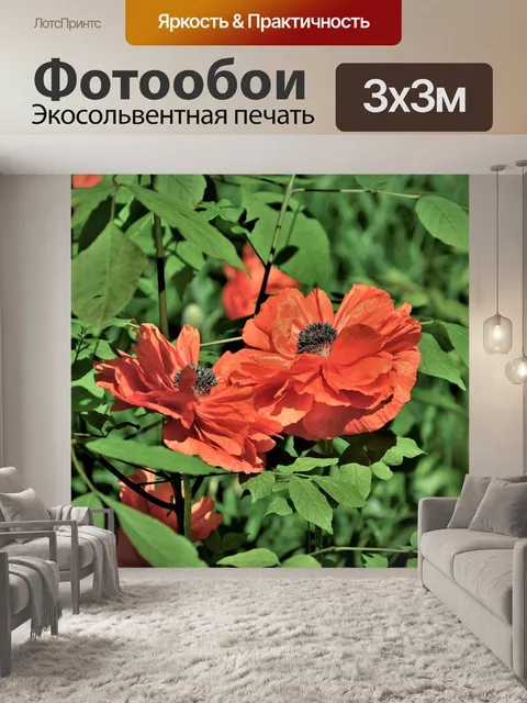 Фотообои Цветы