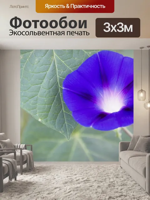 Фотообои Цветок