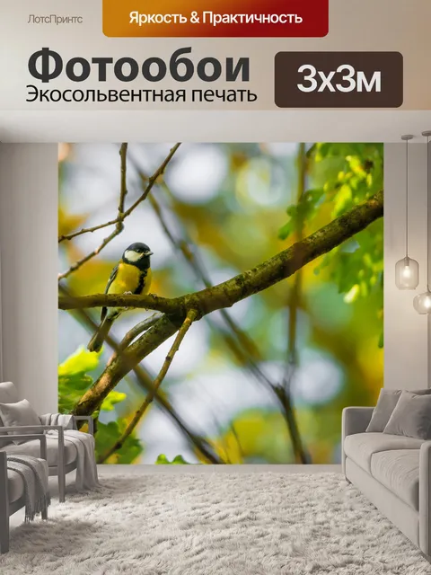 Фотообои Выйдя на ветке 1