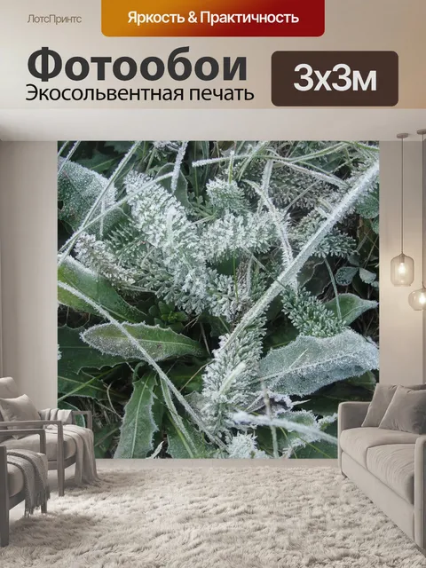 Фотообои Фрост