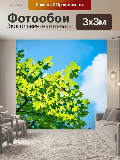 Фотообои дуб, цветущий весной с яркими зелеными листьями и нежными цветами, на фоне голубого неба и легких облаков