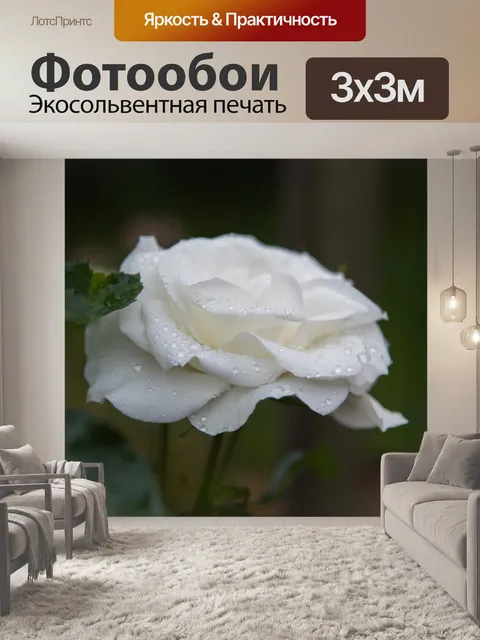Фотообои Роза