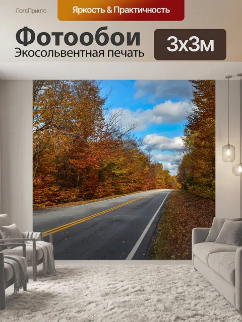 Фотообои Дорога