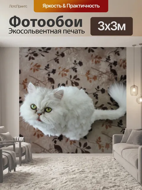 Фотообои Кошка