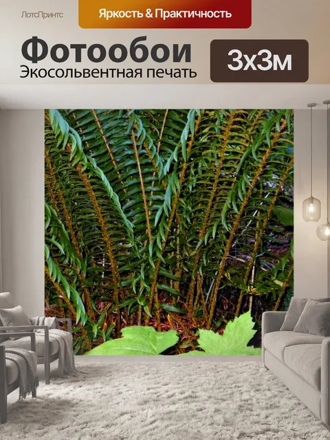 Фотообои Папоротник