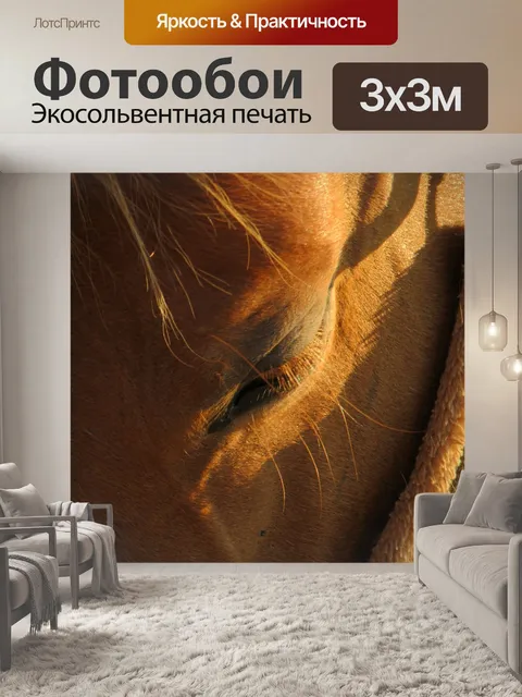 Фотообои Лошадь