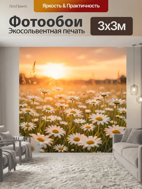 Фотообои Ромашковое поле на закате