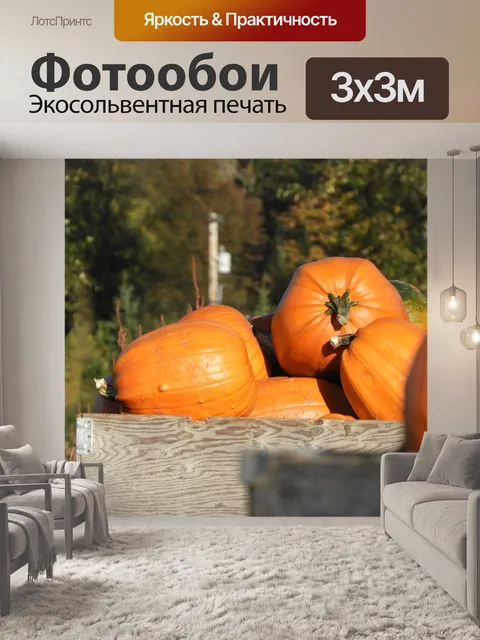 Фотообои Тыквы