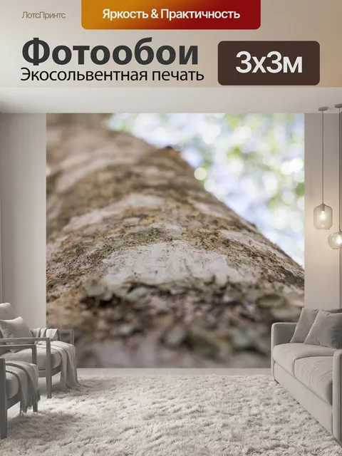Фотообои Высота