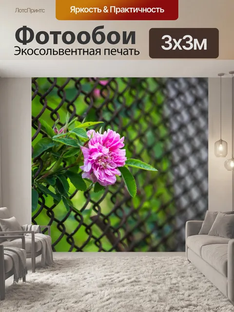 Фотообои Тайная любовь