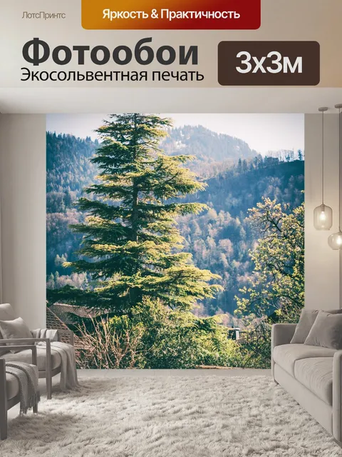 Фотообои Деревья